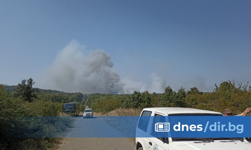 В момента се правят обходи и гасенето продължава.
Тъй като има