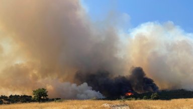 Над 15 хиляди гори изгоряха през последните дни
Две активни пожара