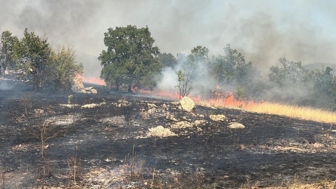 Пожарът в Бургаско отново се разбушува, огнената стихия в Гърция няма да навлезе у нас