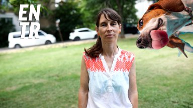 Бездомните кучета не са полезни нито на хората които обичат