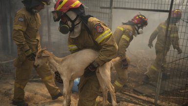 Монасите от манастира Св преподобни Лука са били евакуирани навреме