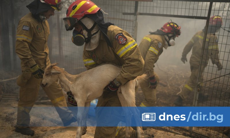 Монасите от манастира Св. преподобни Лука са били евакуирани навреме.