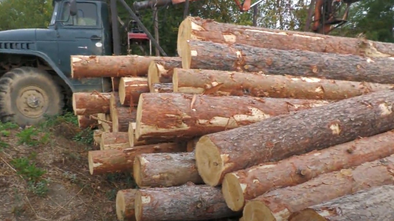 Пребиха двама горски служители в Севлиево по време на дежурство 