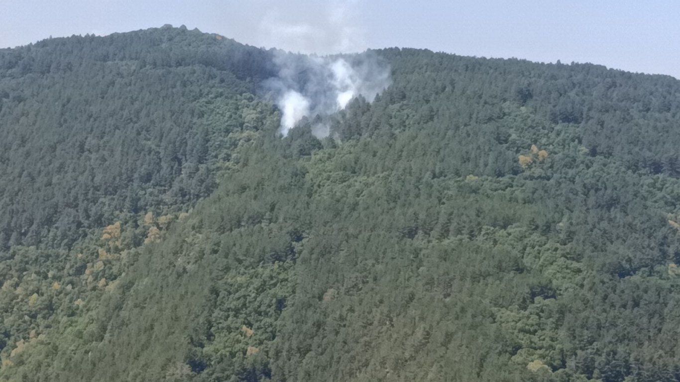 Частично бедствено положение в Асеновград заради два горски пожара