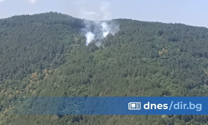 Екипи на пожарната и доброволци вече се борят със стихията,