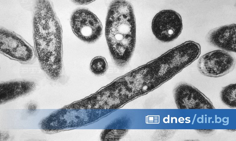 Регионът на Жешув в югоизточната част на Полша е ключов