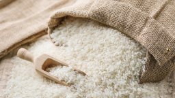 Вандали щурмуваха и изкорениха оризово поле, получено по геномен път