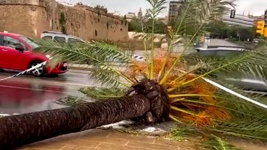 Вятърът е откъснал от котвите 330 метров круизен кораб закотвен в