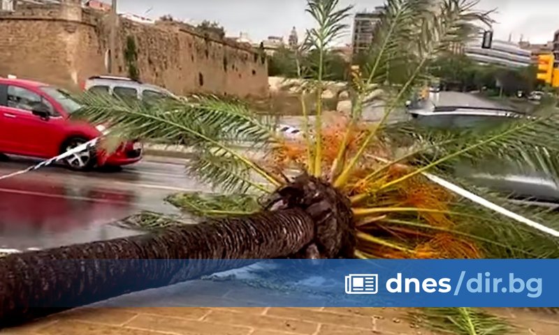 Вятърът е откъснал от котвите 330-метров круизен кораб, закотвен в