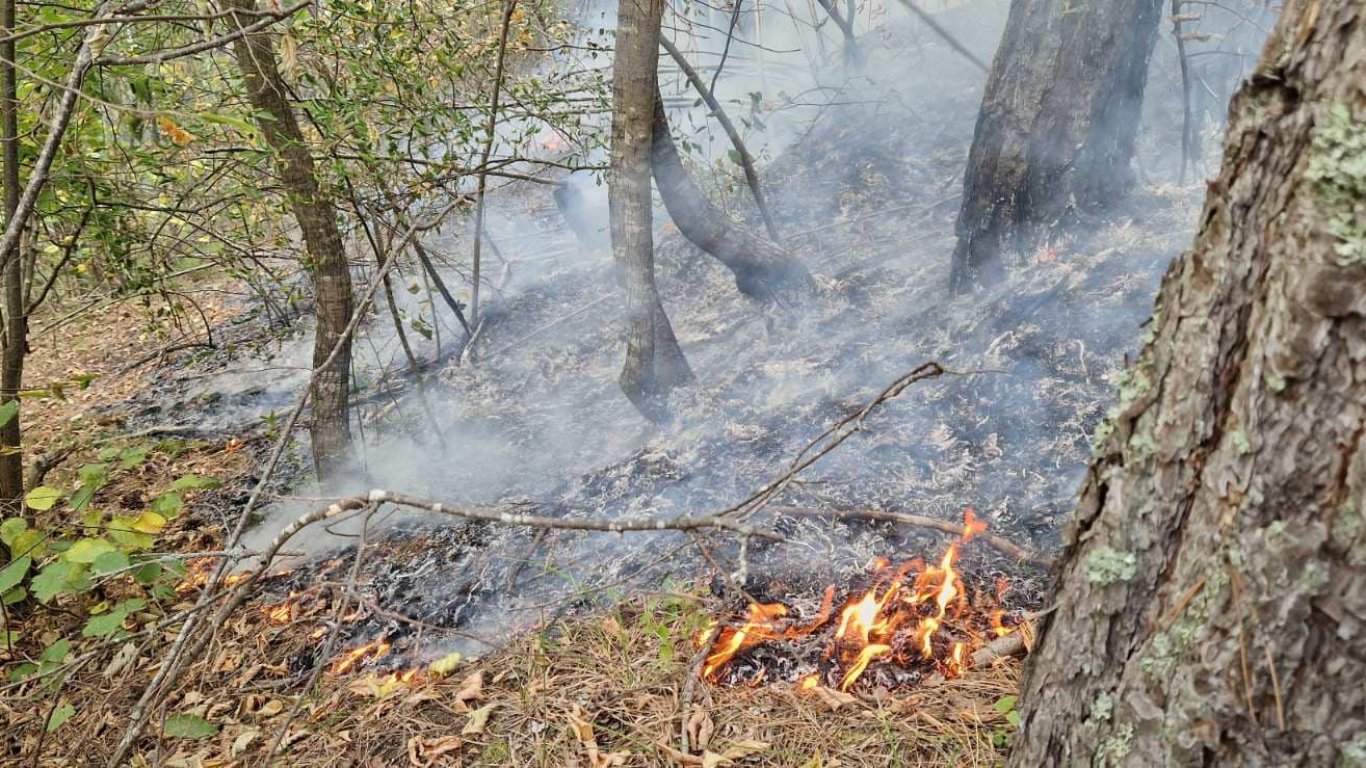 Голям горски пожар гори край старозагорското село Змейово