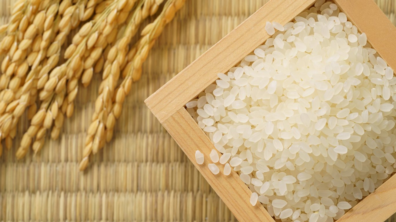 Пазарът на ориз закипя: затапен износ, високи цени