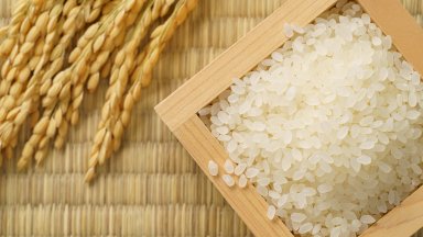 Пазарът на ориз закипя: затапен износ, високи цени