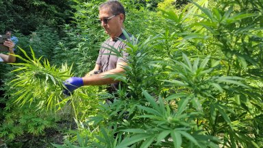 Снимка Пресцентър МВР От началото на месеца има 14 образувани