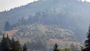 Тази сутрин групите отново се събраха пред Горското стопанство в