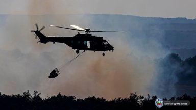 Трети ден пожар в Родопите: Пламъците обхванаха 1000 дка, унищожиха вековна гора (снимки)