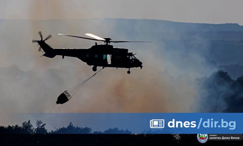 Още снимки Пожарът, който е в борова гора, вече е