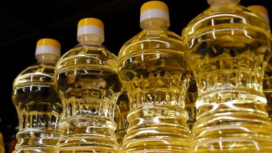 Българският слънчоглед не стига за производителите на олио, не искат да спира вносът от Украйна