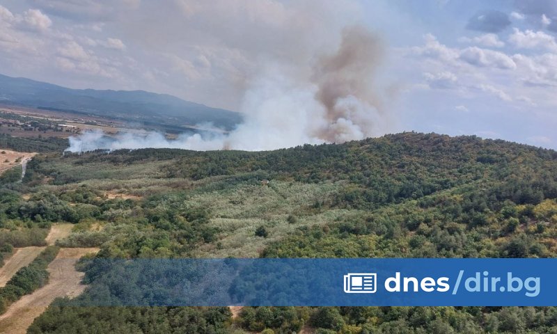 В района на пожара, близо до горящите треви и дървета,