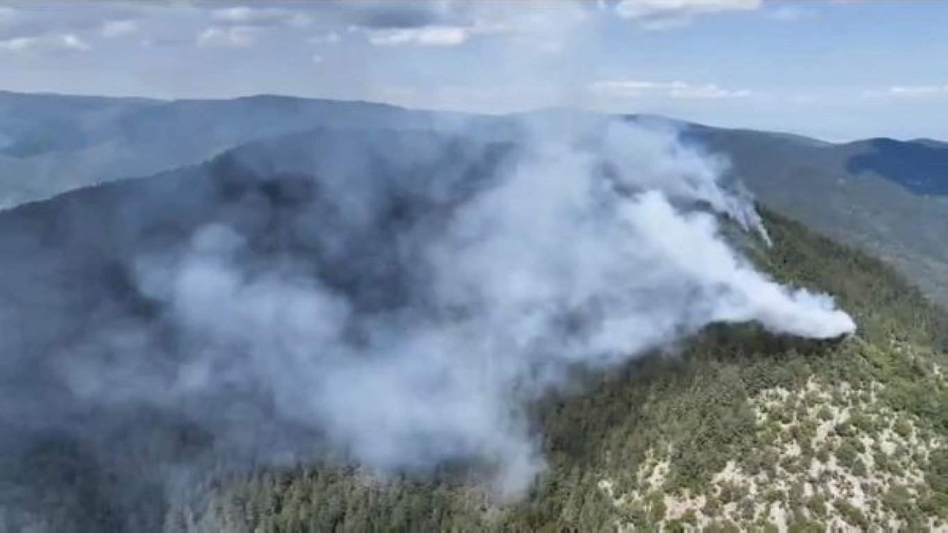 Мълния предизвика нов горски пожар в Родопите (видео)