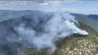 Мълния предизвика нов горски пожар в Родопите (видео)