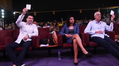 Заместник председателят на Парламентарната група на БСП за България и член