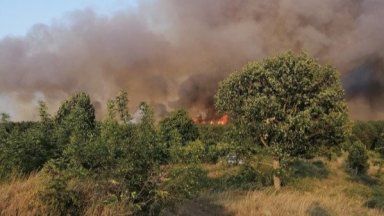 Пожарите в Свиленградско и Тополовградско обхванаха 10 000 декара, в Одринско са под тревога 