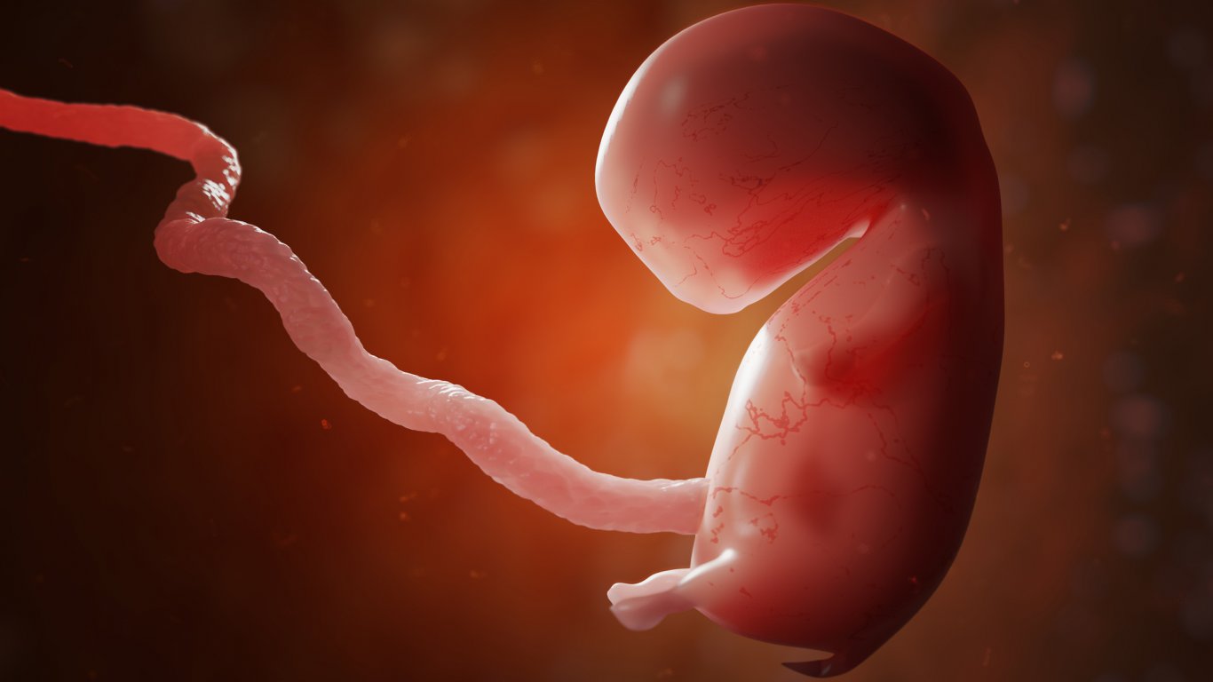 Израелски учени създадоха ембрион, без сперма, яйцеклетка или утроба