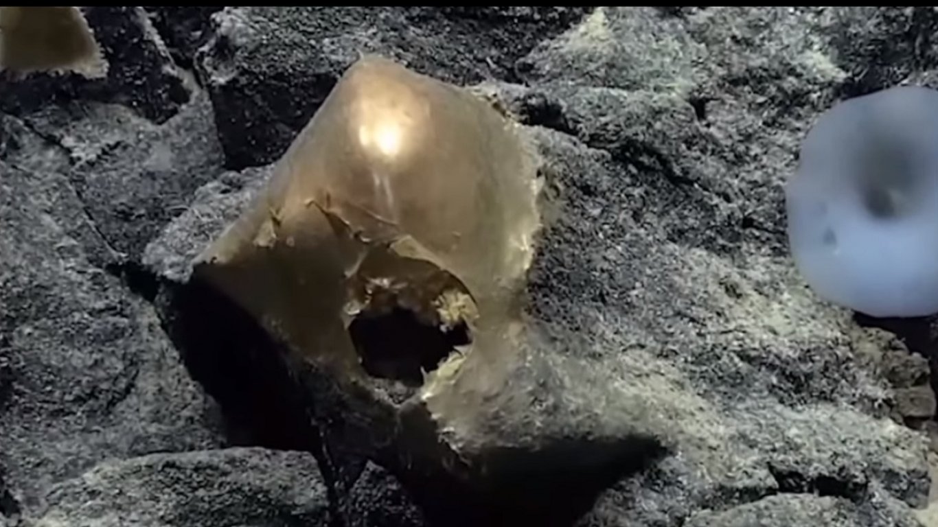Учени откриха мистериозен "златен" обект на дъното на Тихия океан (видео)