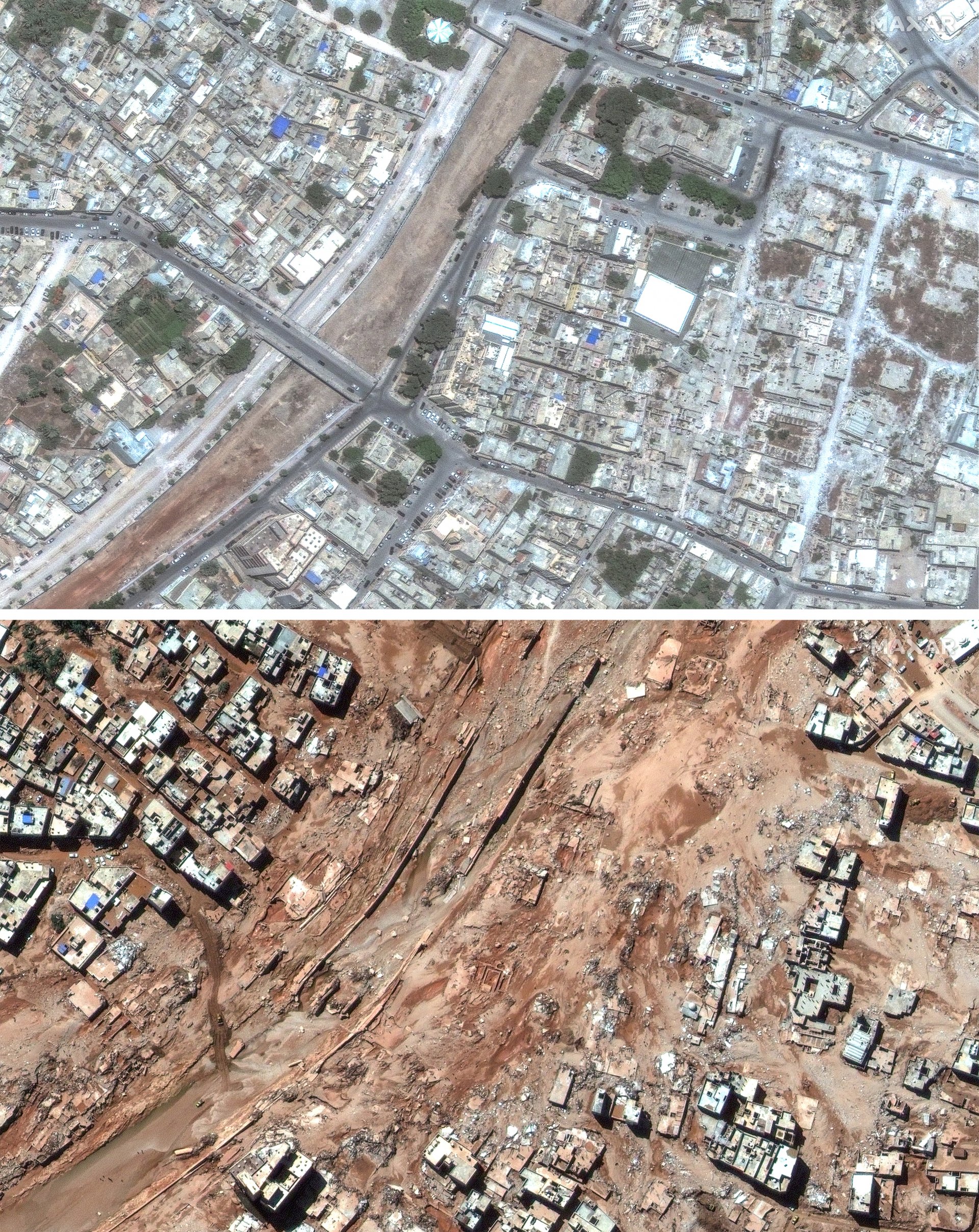 Дерма преди и след потопа