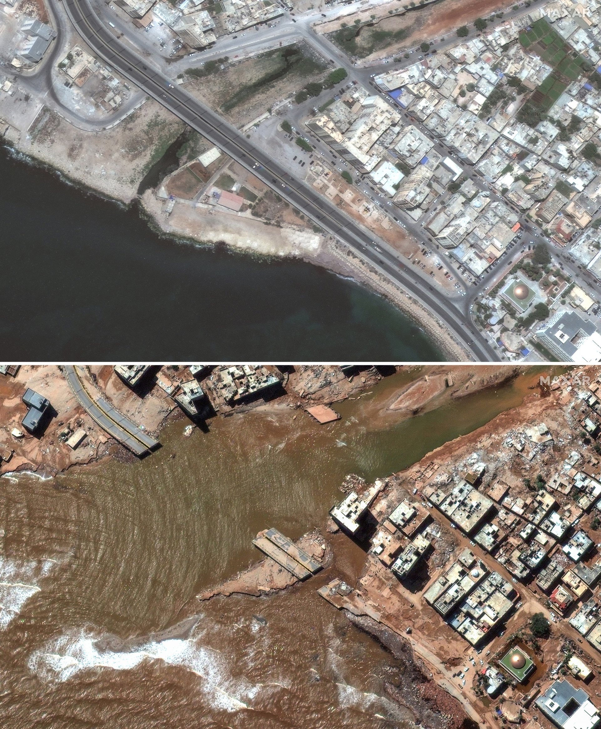 Дерма преди и след потопа