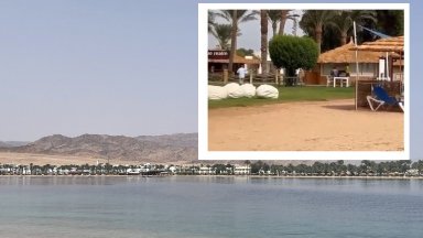 Акула нападна жена в египетския курорт Дахаб, затвориха един от плажовете