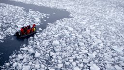 Антарктическият плаващ лед се е смалил обезпокоително