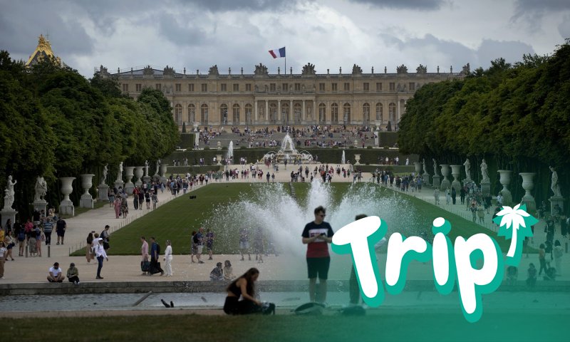 В съда подсъдимият заяви, че съжалява за деянието си и