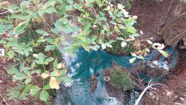 Производствена боя оцвети водите на река Янтра в синьо-зелено (видео)