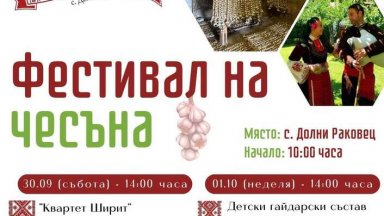 Първи по рода си фестивал на чесъна ще се проведе в радомирско село