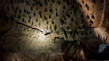 Най-старите обувки в Европа са открити в испанска пещера