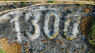 Пожар изпепели емблематичния надпис от дървета "1300 г. България" над Бяла