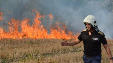 Стотици декари пламнаха край Хасково, вятър затруднява огнеборците (снимки)
