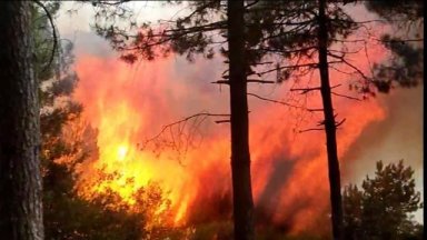 Пожари край военния полигон "Тюлбето" в Казанлък и край Бяла Слатина
