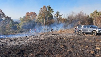 Пожар затвори пътя Габрово-Трявна