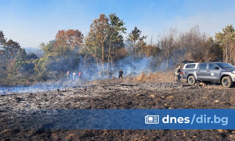 Организиран е обходен път през град Дряново до Трявна.
По първоначална