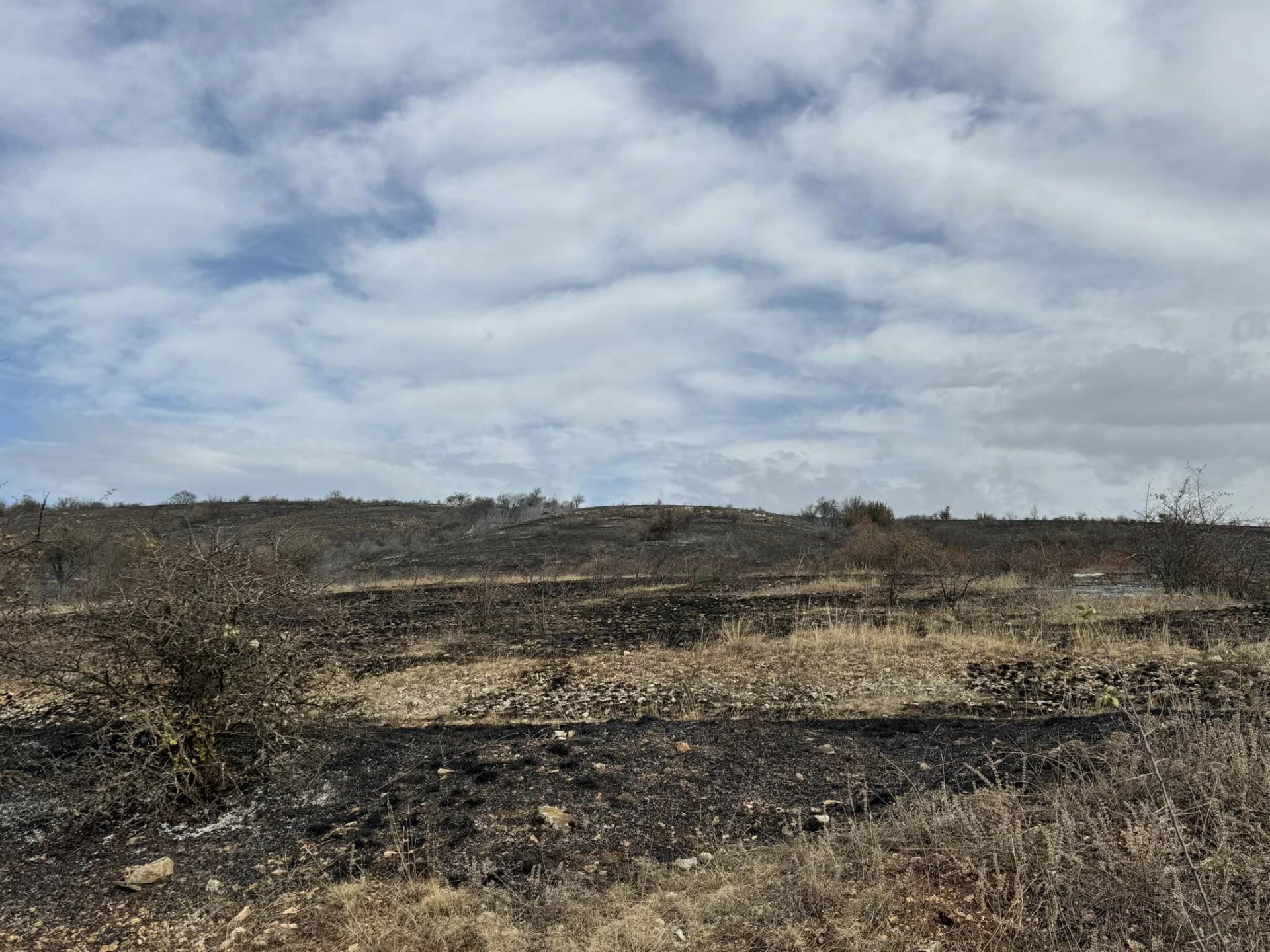 Изгорелите площи край село Понор, Костинбродско