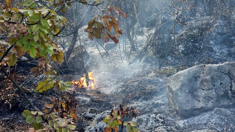 Потушиха пожарите край Костинброд и Нови Искър