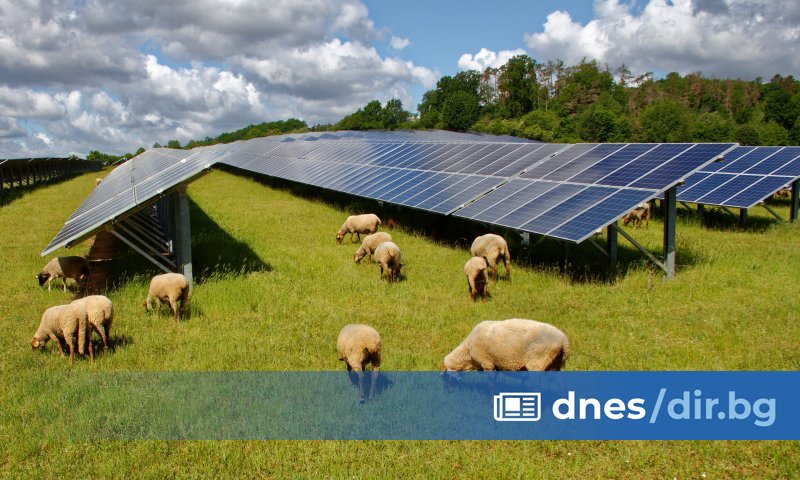 За тях ще бъде внесено искане в Софийския градски съд