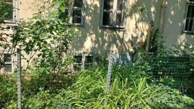 Председателя на общество Бяло братство Христо Вътев разказа че