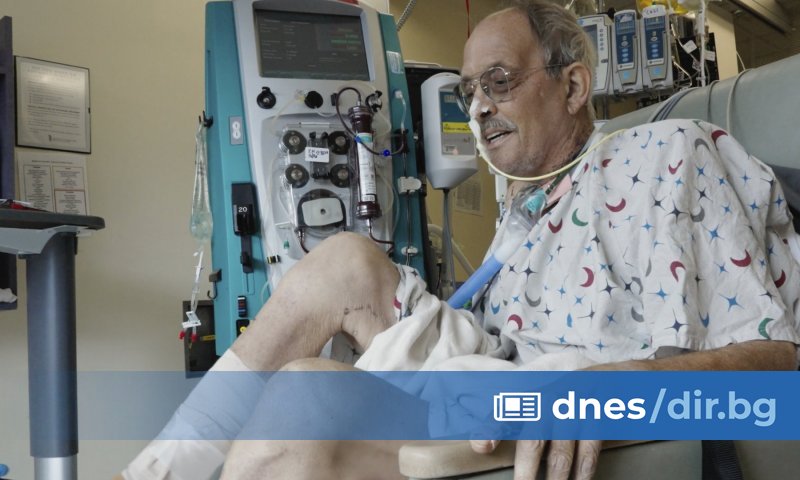 Снимка: И вторият пациент с трансплантирано сърце от ГМО прасе почина 6 седмици след операцията