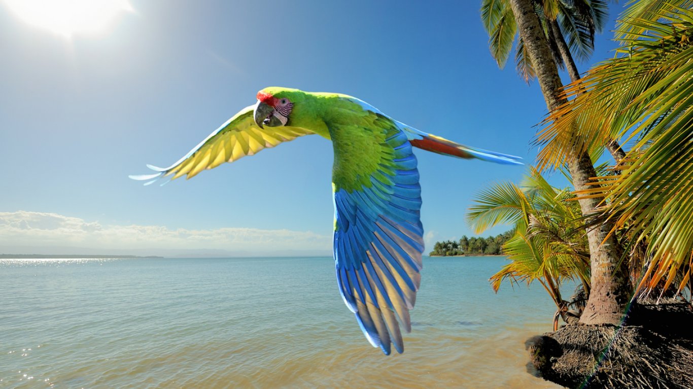 Тропическите птици сякаш са замърсени с живак