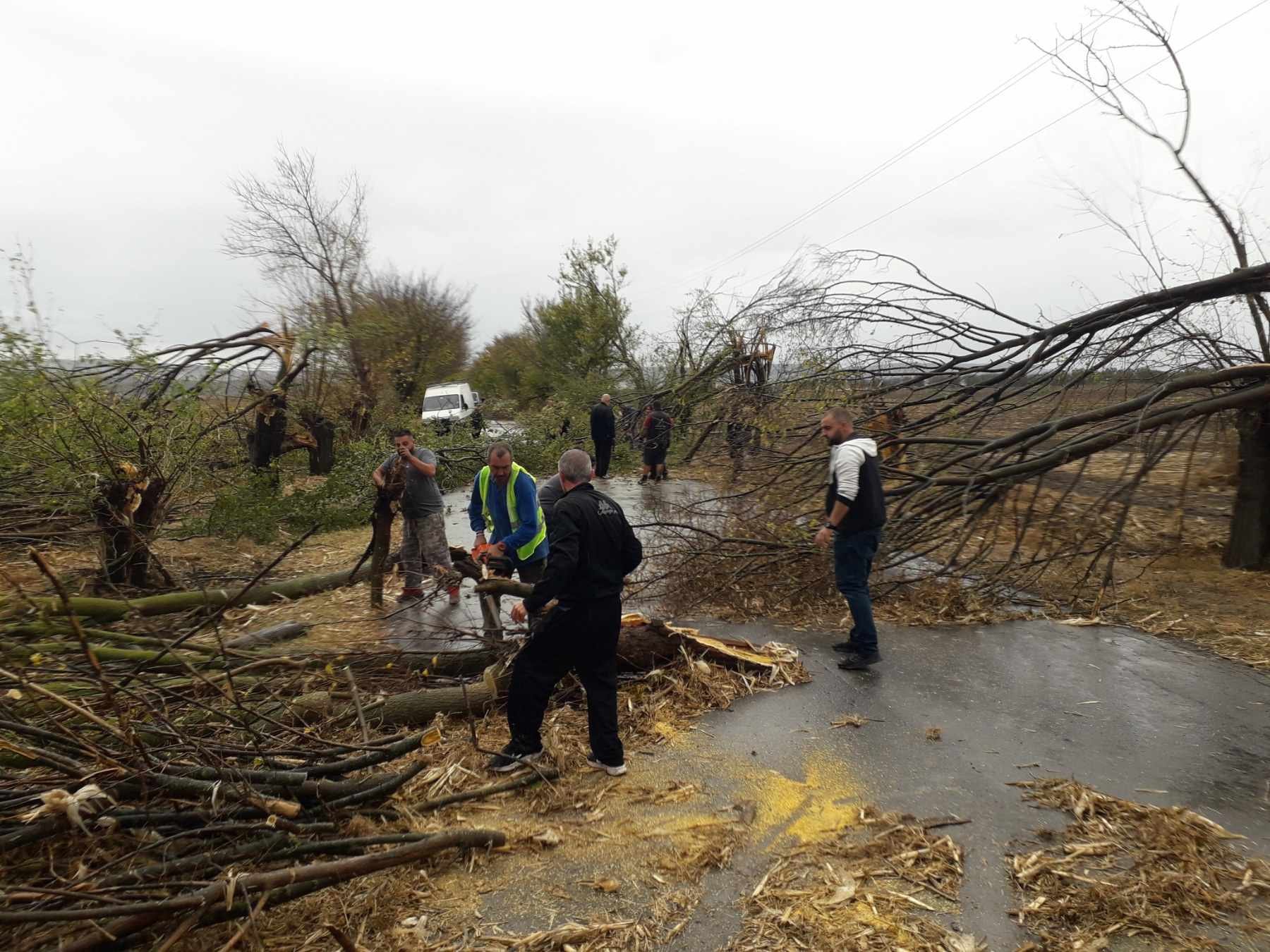 Паднали дървета по пътищата в Шуменско след бурята 