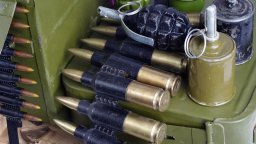 Полицията иззе гранати, оръжие, взривни вещества и боеприпаси при акция в монтанско село