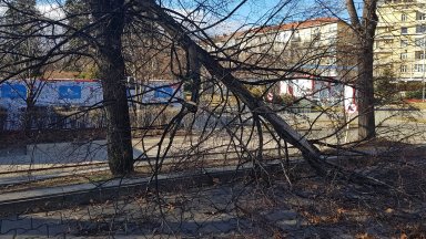 Славчев коментира че тези стойности не са необичайни за България